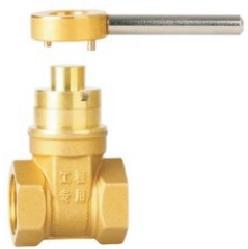 Magnetic Lock Gate Valve